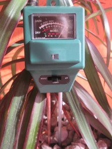 meranie osvetlenia izbových rastlín