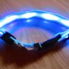 Led obojok pre Vášho miláčika - Image 3