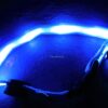 Led obojok pre Vášho miláčika - Image 4