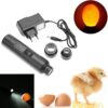 SET Presvecovacia LED lampa na vajcia